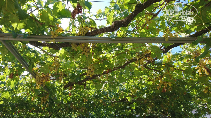 New photos from tourists Villa Jokovic 2*