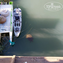 фото из отзыва ID 2079819