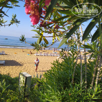 фото из отзыва ID 2079906