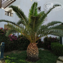 фото из отзыва ID 2079917