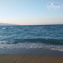 фото из отзыва ID 2079983