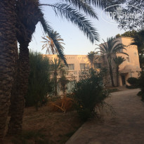 фото из отзыва ID 2079602