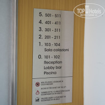 фото из отзыва ID 2075586