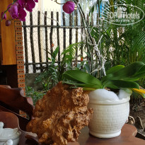 фото из отзыва ID 2076942