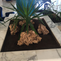 фото из отзыва ID 2075047