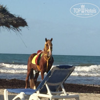 фото из отзыва ID 2075047