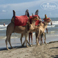 фото из отзыва ID 2075047