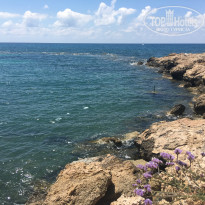 фото из отзыва ID 2076066