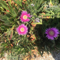 фото из отзыва ID 2076066