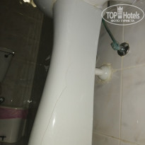 фото из отзыва ID 2075979