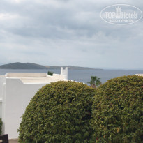 фото из отзыва ID 2073905