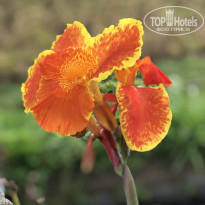 фото из отзыва ID 2070541