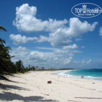 фото из отзыва ID 208307