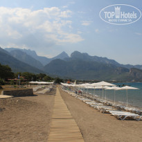 фото из отзыва ID 208758