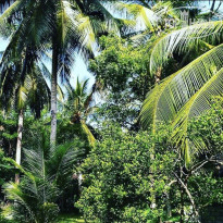 фото из отзыва ID 2080004