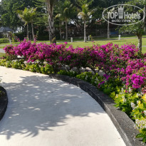 фото из отзыва ID 2080018