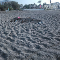 фото из отзыва ID 2080027