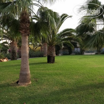 фото из отзыва ID 2080051