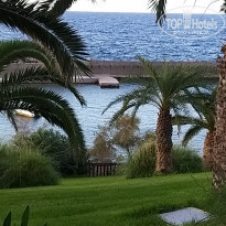 фото из отзыва ID 2080051