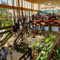 фото из отзыва ID 2080057