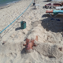 фото из отзыва ID 2080070