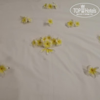 фото из отзыва ID 2080146