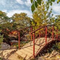 фото из отзыва ID 2080222