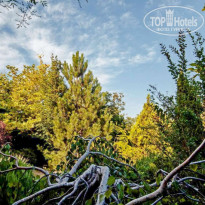 фото из отзыва ID 2080222