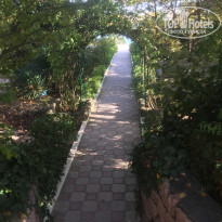 фото из отзыва ID 2080222