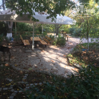 фото из отзыва ID 2080222