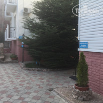 фото из отзыва ID 2080222