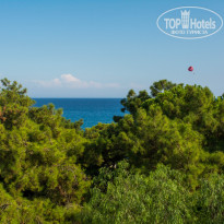 фото из отзыва ID 2080394