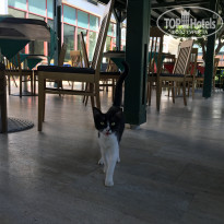 фото из отзыва ID 2080394