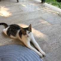 фото из отзыва ID 2080394