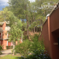 фото из отзыва ID 2080536