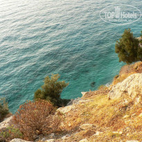 фото из отзыва ID 2080507