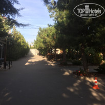 фото из отзыва ID 2080643