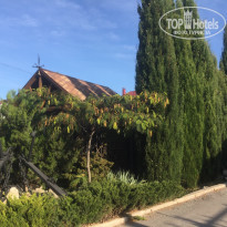 фото из отзыва ID 2080643