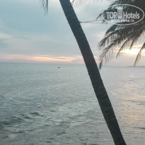 фото из отзыва ID 2080646