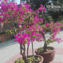 фото из отзыва ID 2080646