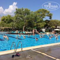 фото из отзыва ID 2080763