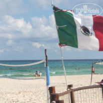 фото из отзыва ID 2080866