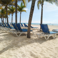 фото из отзыва ID 2080866