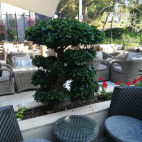 фото из отзыва ID 2080794