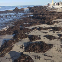 фото из отзыва ID 2080981