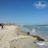 фото из отзыва ID 2080981