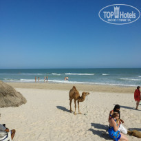 фото из отзыва ID 2080981