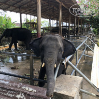 фото из отзыва ID 2080994