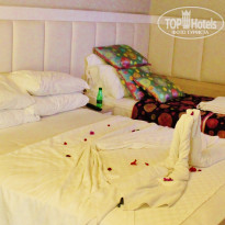 фото из отзыва ID 2081051