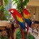 Royal Level at Occidental at Xcaret Destination